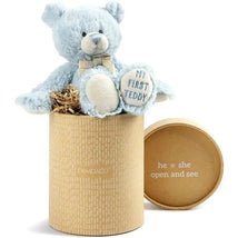 Demdaco - Gender Reveal Teddy Bear, Boy Image 2