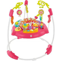 Fisher-Price Jumperoo, Petals Pink Image 1