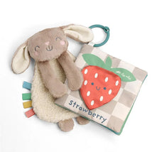 Itzy Ritzy - Itzy Learn & Snuggle Gitf Set, Bunny Image 1