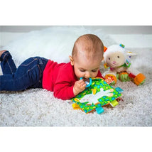 Mary Meyer - Taggies Crinkle Me Sherbet Lamb Image 2