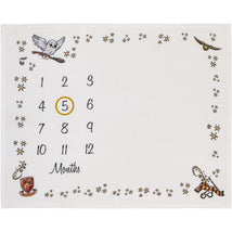 Nojo - Warner Brothers Harry Potter Magical Moments Milestone Blanket Image 1