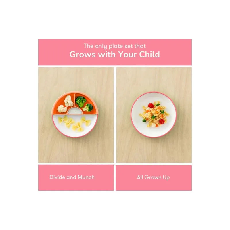 Omie - Toddler Plate With Divider, Pink | 1 plate Image 3