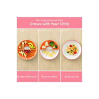 Omie - Toddler Plate With Divider, Pink | 3 plates & 2 dividers Image 5