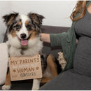 Pearhead - Wooden Pet Pregnancy Announcement Sign Image 3