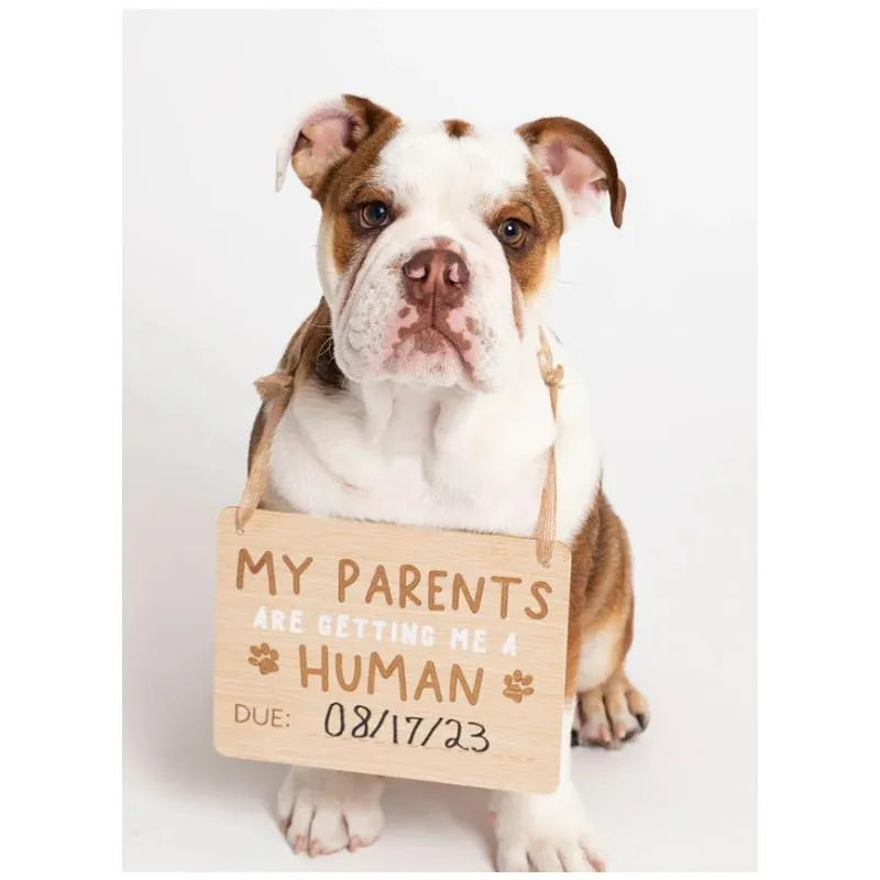 Pearhead - Wooden Pet Pregnancy Announcement Sign Image 4