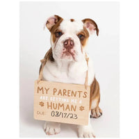 Pearhead - Wooden Pet Pregnancy Announcement Sign Image 4
