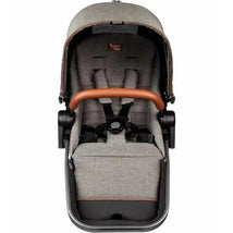 Peg-Perego Agio Companion Seat (For Z4) Agio Grey Image 1