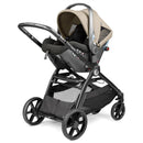 Peg Perego Ypsi – Compact Single to Double Stroller, Vanilla Blend (Black/Cream) Image 5