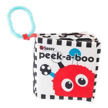 Sassy Peek-A-Boo Book Image 1