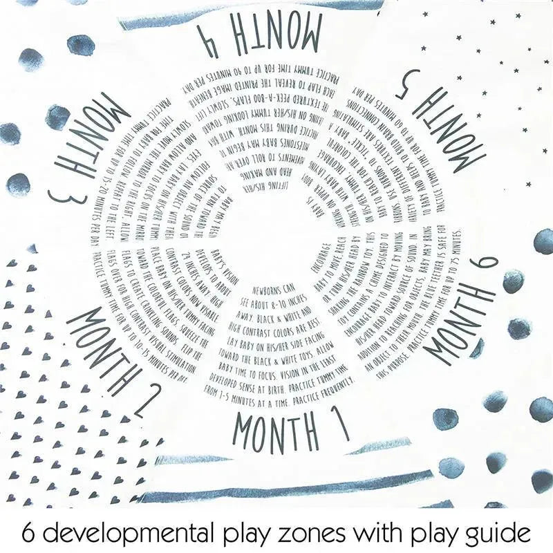 Sassy - Milestone Activity Gym Image 9