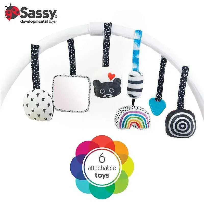 Sassy - Milestone Activity Gym Image 11