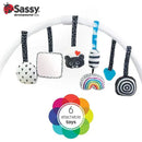 Sassy - Milestone Activity Gym Image 11