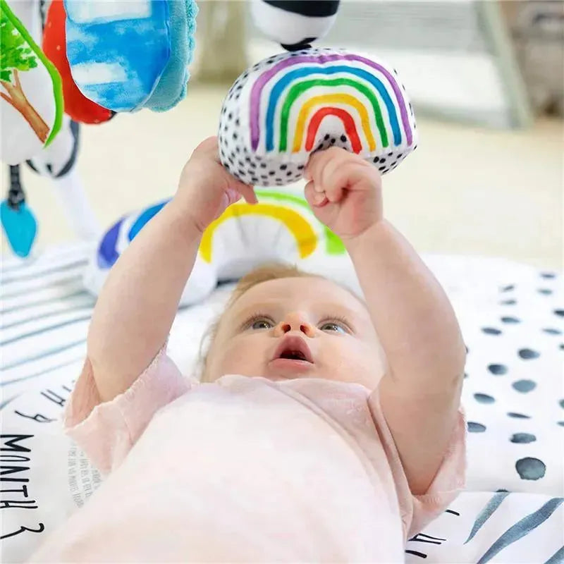 Sassy - Milestone Activity Gym Image 3