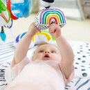 Sassy - Milestone Activity Gym Image 3