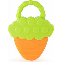 Sassy Vibrating Carrot Teether Image 1
