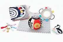 Sassy Wimmer Sensory Fundamentals Gift Set Image 1