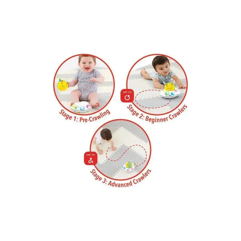 Skip Hop - Explore & More Follow-Bee Crawl Toy Image 2