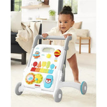 Skip Hop - Grow Along, 4 In 1 Activity Walker Image 2