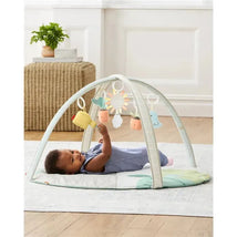 Skip Hop - Garden Oasis Activity Gym Image 2
