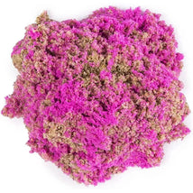 Spin Master - Kinetic Sand, 4.5 Oz Seashell Container Pink Image 3