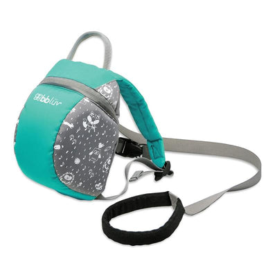 Bbluv - Päk (Aqua) - Toddler Backpack With Rein Image 1