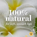 Burts Bees - 2Pk Lip Balm Coconut & Pear Image 3