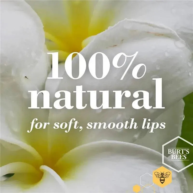 Burts Bees - 2Pk Lip Balm Coconut & Pear Image 3
