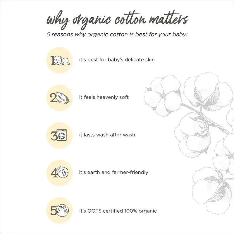 Burts Bees - 5Pk Bee Essential Organic Burp Cloths, Cloud Image 4