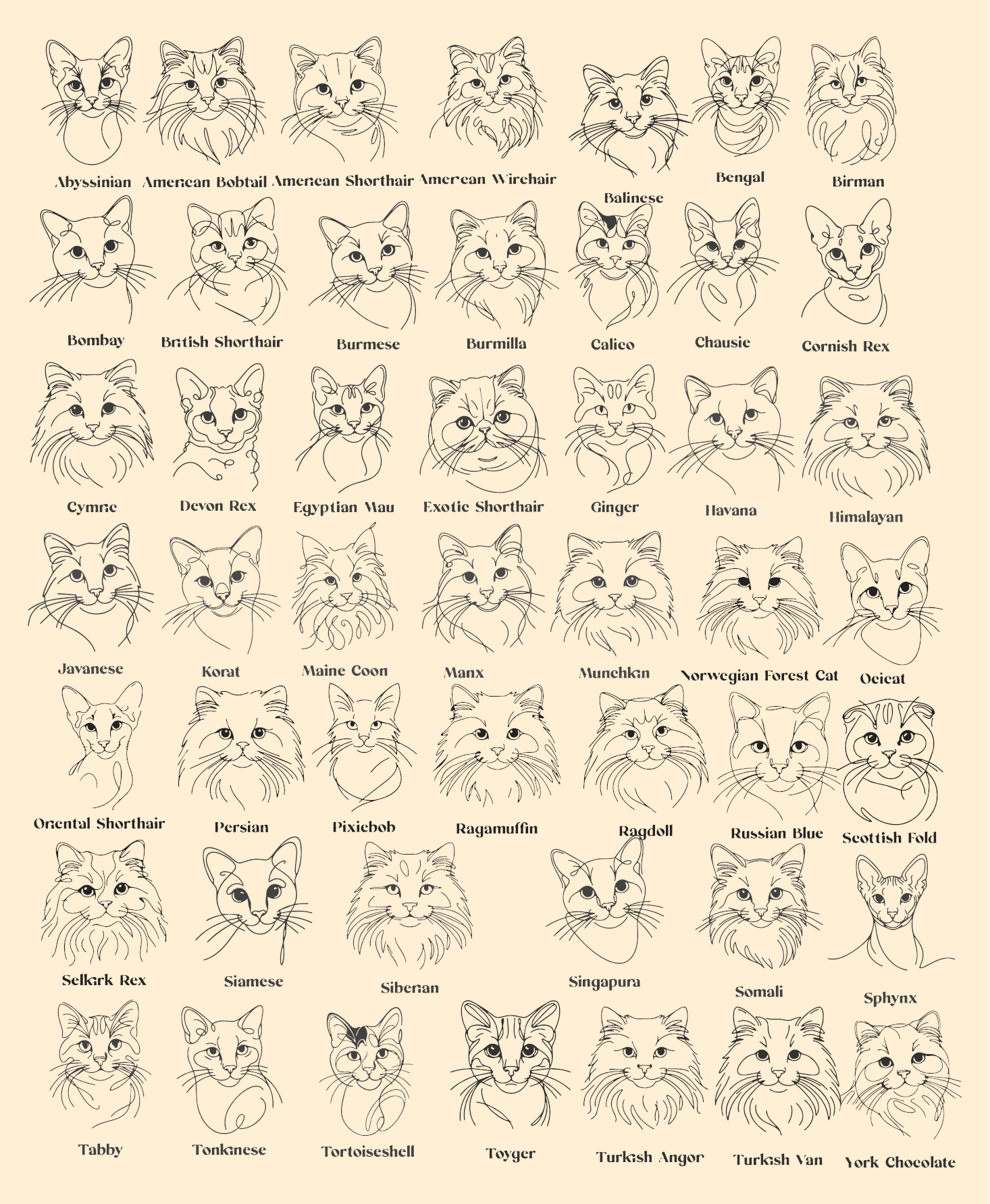 Custom Cat Breed Ornament