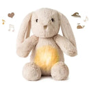 Cloud B - Love Light Buddies, Billy Bunny Image 1