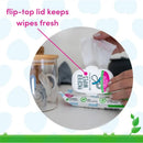 Dapple Pacifier Wipes, Fragrance Free, 40 Ct Image 2