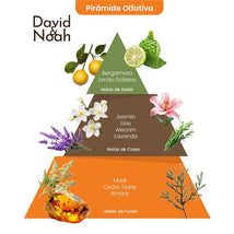 David & Noah By Baby Jolie - Body Wash + Perfume Bundle Image 2