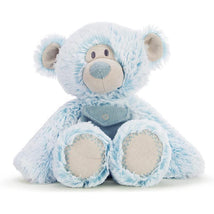 Demdaco - Blue Pocket Prayer Plush Bear Image 1