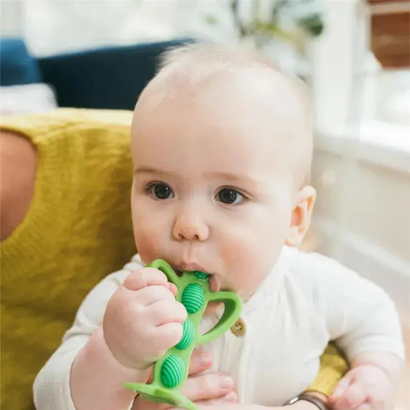 Dr. Brown's - Peapod Teething Toothbrush, Green Image 4