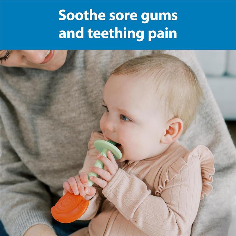 Dr. Brown's Teething Tubes for Babies, Bee & Snail Image 5