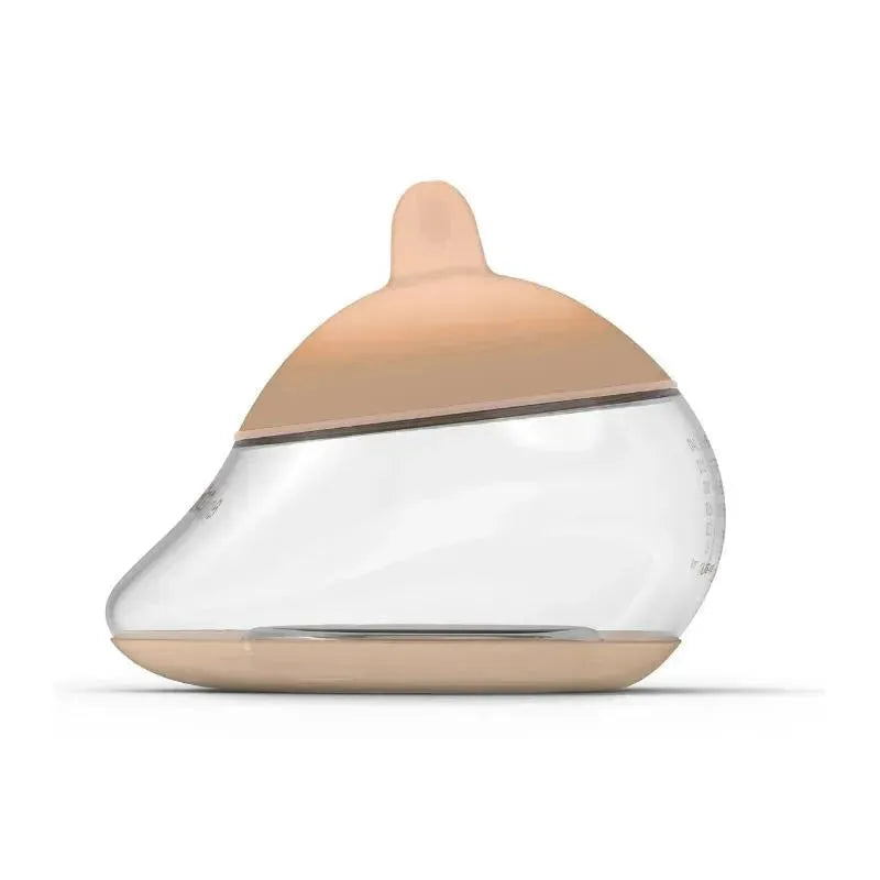 Emulait - Anatomy Bottle Color Light Image 4