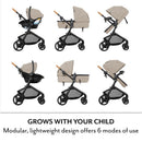 Evenflo Pivot NXT Travel System with LiteMax NXT Car Seat displayed in six adjustable modes; includes a modular, lightweight design.