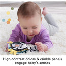 Fisher Price - Toy 2-in-1 Rockin' Tummy Time Otter Plush Sensory Activity with Soft Book Image 3