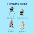 Graco Ready2Dine DLX 4-in-1 Highchair, Portable High Chair with 4 Growing Stages Image 8