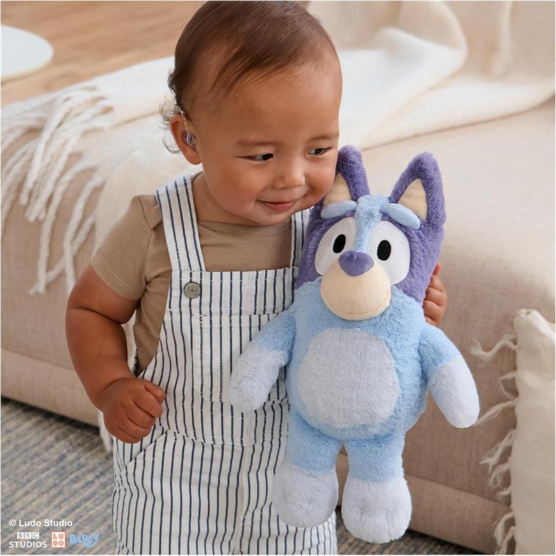 Gund - Bluey Plush 13 Image 5