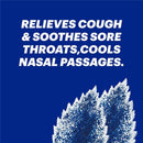 Halls - Minis Menthol-Lyptus 24 Ct Image 6