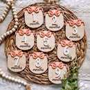 Coquette Bow Monlty Milestone Set