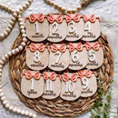 Coquette Bow Monlty Milestone Set
