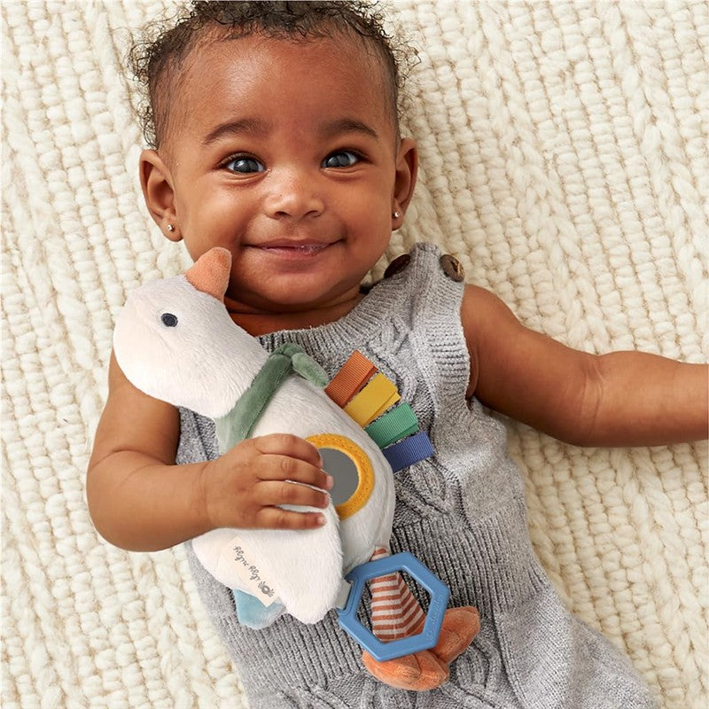 Itzy Ritzy - Bitzy Traveler Car Seat & Stroller Toy for Babies Image 2