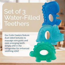 Itzy Ritzy - Cute 'N Cool Water Filled Teether Dino (3-Pack) Image 2