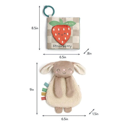 Itzy Ritzy Learn & Snuggle Gift Set featuring a bunny plush toy with colorful tags and a soft strawberry fabric book.