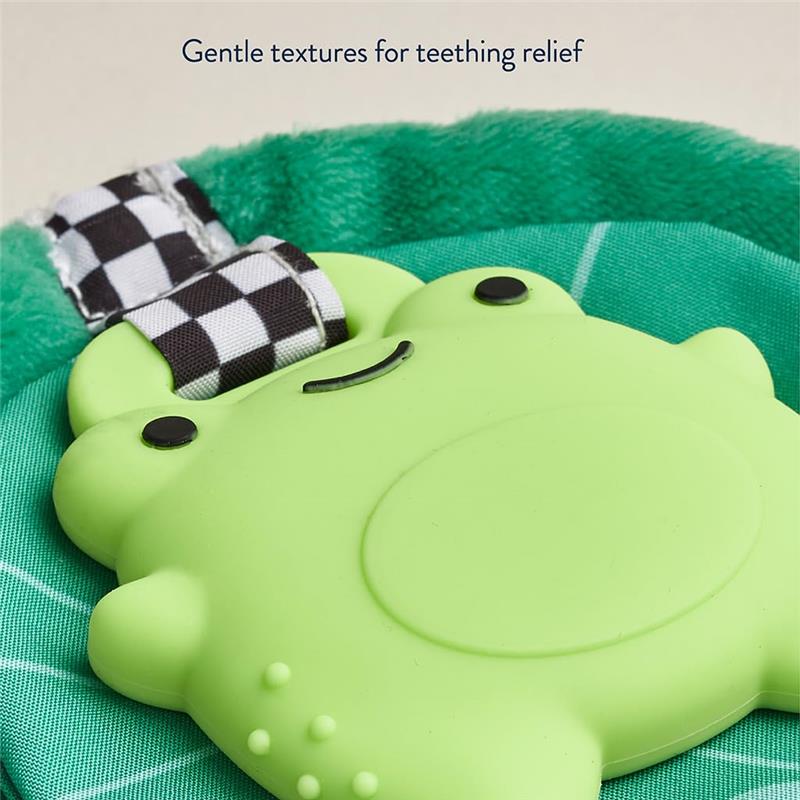 Itzy Ritzy - Silicone Sensory Teether, Frog Image 5