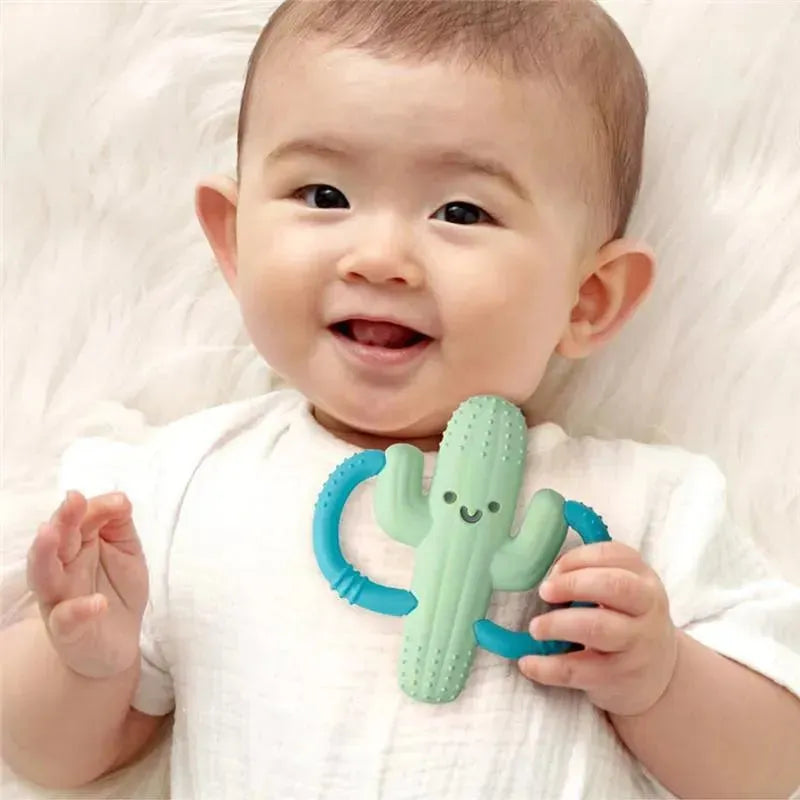 Itzy Ritzy - Silicone Teether with Easy-Grab Handles, Cactus Image 5