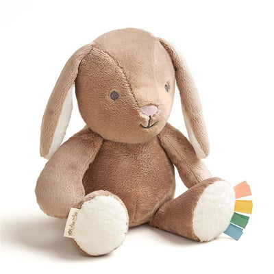Itzy Ritzy - Snuggleverse™ Sweetie Snuggles™ Perfect, Huggable Plush Toy Billie They Bunny (Taupe) Image 1