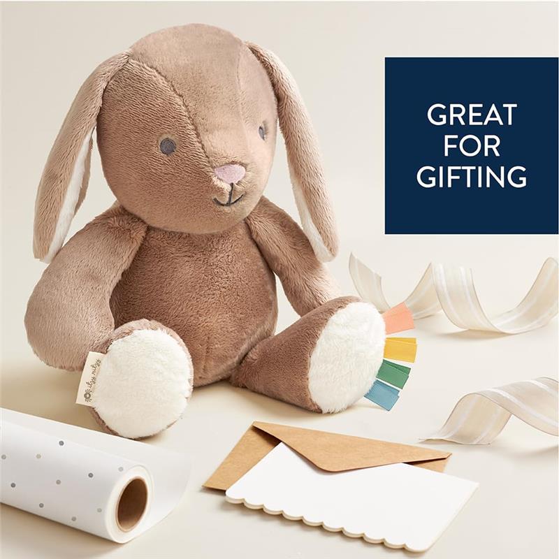 Itzy Ritzy - Snuggleverse™ Sweetie Snuggles™ Perfect, Huggable Plush Toy Billie They Bunny (Taupe) Image 5